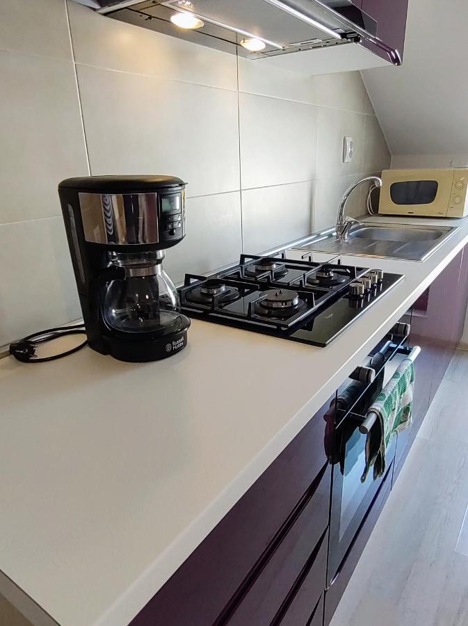 Simona Apartament Palas Mall ヤシ エクステリア 写真