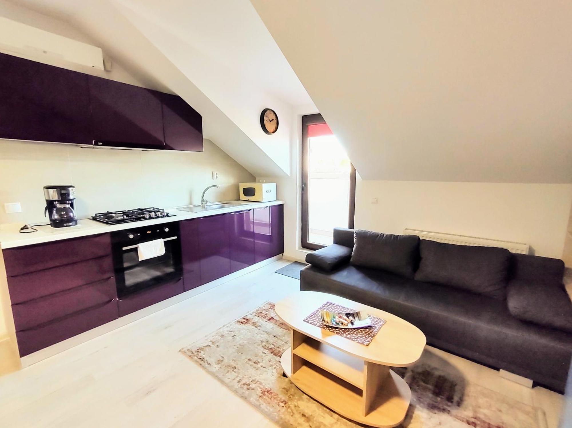 Simona Apartament Palas Mall ヤシ エクステリア 写真